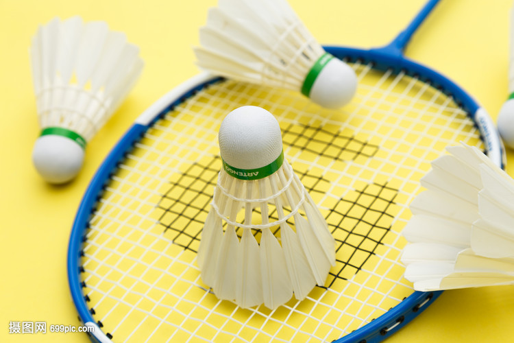 道尔虽有潜 道尔虽有潜